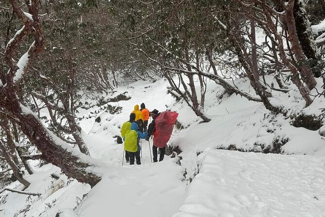 5 Day Mardi Himal Base Camp Trek in Pokhara - Guides and Group Setup: Why Amrit, Biru, and Bikram Matter