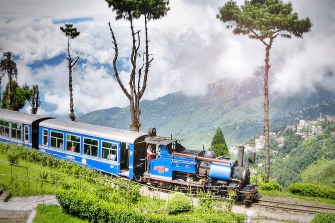 5-Day Private Tour of Gangtok and Darjeeling - The high-altitude zoo and why it’s not just a stop