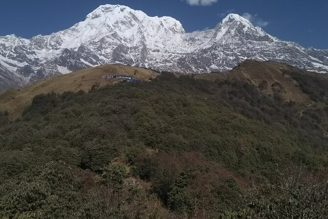 5 Days Mardi Himal Trek. - Day 2 to Forest Camp: birds, river views, and that quiet forest rhythm