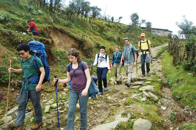 5-Days Singalila Ridge Trek in Darjeeling - Day 4: downhill-to-Gorkhey with dense forest vibes
