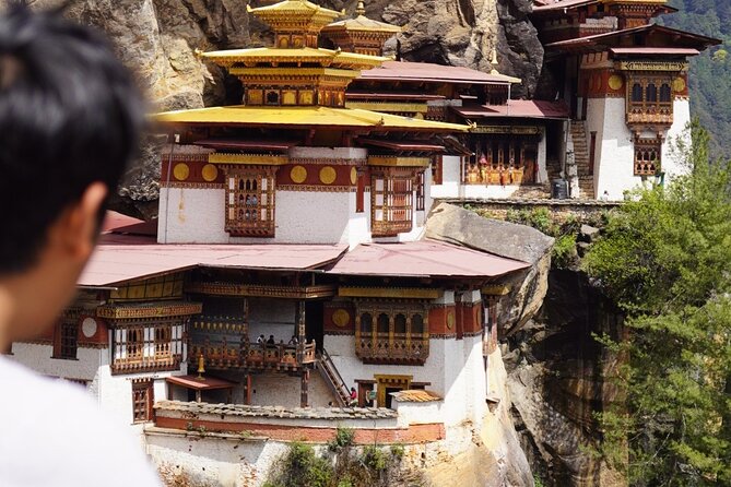 6 Days Bhutan Private Tour to Gangtey - Day 1 in Thimphu: Memorial Chorten, takins, paper, and Tashichho Dzong