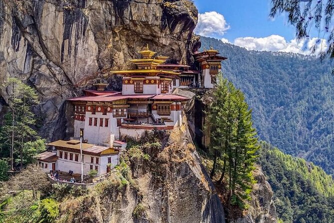 6 Days Bhutan Private Tour to Gangtey - Day 3: Gangtey Monastery, Chimi Lhakhang, and Punakha Dzong