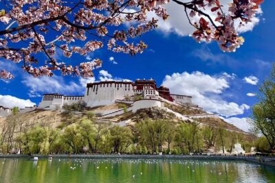 6 Days Central Tibet Culture Small Group Tour - Lhasa sacred core: Potala Palace, Jokhang Temple, and Barkhor’s kora energy