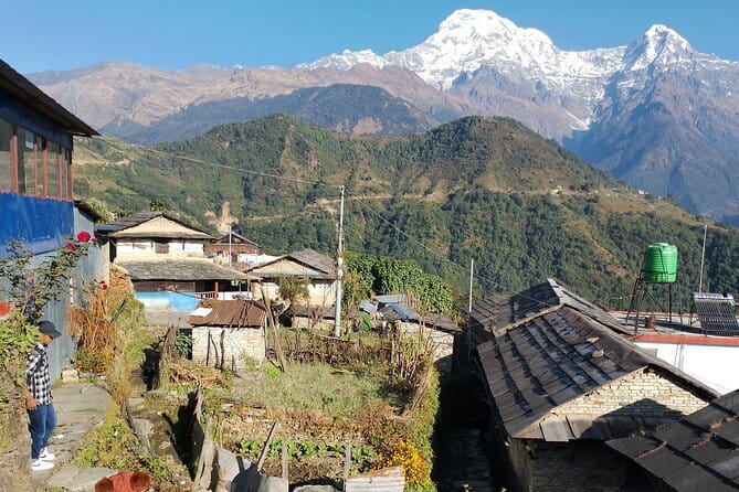 7-Day Trek to Annapurna Base Camp from Pokhara - Day 1 to 3: Ghandruk, Upper Sinuwa, Deurali—The Slow Build Up