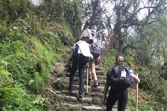7 Days Annapurna Base Camp Trek from Pokhara - Pokhara to Naya Pul: the smooth start to a serious hike