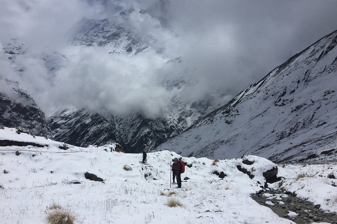 7 Days Annapurna Base Camp Trek from Pokhara - Guides and guest houses: the difference between walking and traveling well