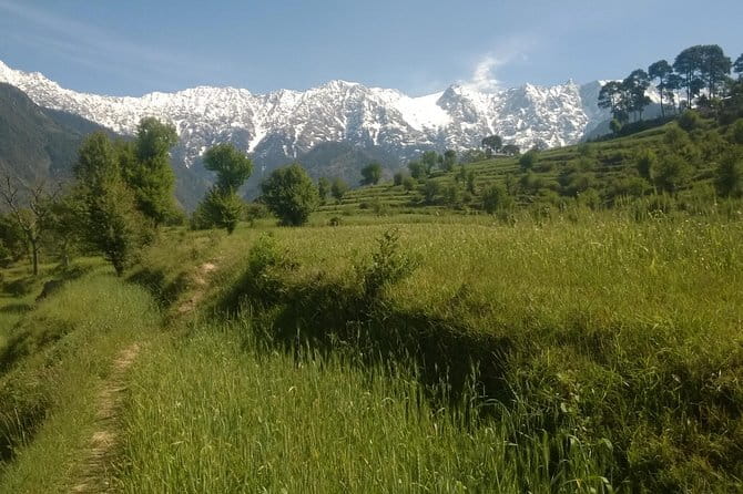 7 Days Dharamsala - Dalai Lama home Trek - Private Transport and Pickup: Smooth Starts Matter