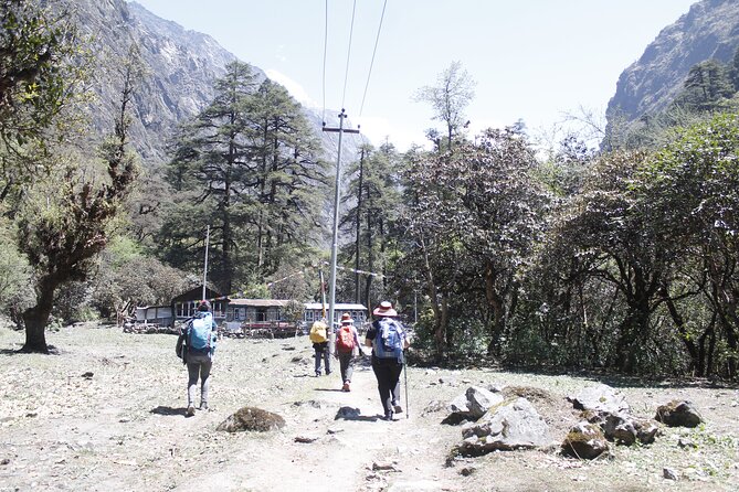 7 Days Langtang Valley Trek from Kathmandu - Guide quality is the real upgrade (especially on tougher moments)