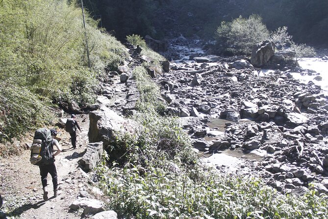 7 Days Langtang Valley Trek from Kathmandu - Guesthouses, food, and what to expect in the real-world rhythm
