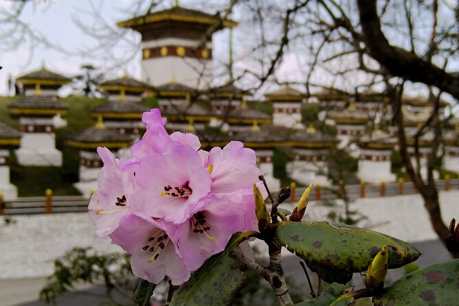 8 Day Cultural Immersion - Day 8: Smooth Finish Back to Paro Airport