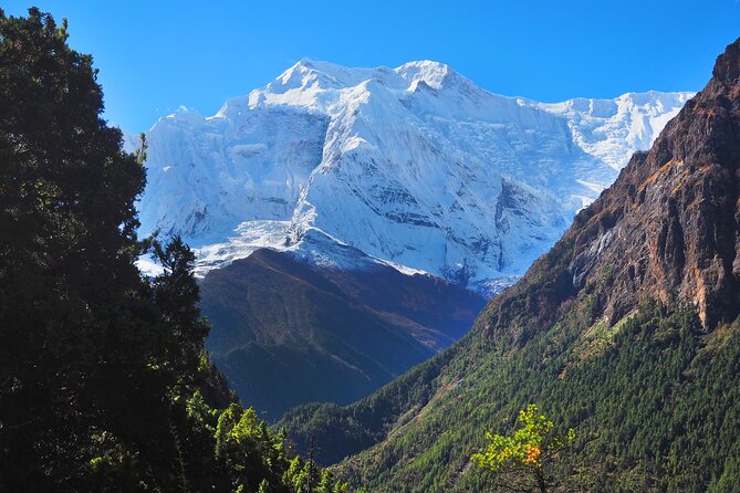 8 Days Private Guided Trekking in Annapurna Circuit with Pickup - Day 7: Thorong La Pass (5416m) to Muktinath—early start, big descent, spiritual stop
