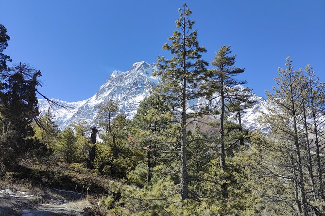 Annapurna Base Camp Trek 10 Days - Key things that make this trek work