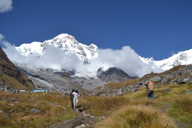 Annapurna Base Camp Trek 10 Days - Day 5: Deurali to Annapurna Base Camp—where the forest disappears