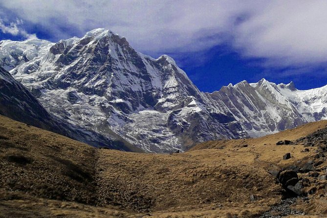 Annapurna Base Camp Trekking - Day 5 Ulleri to Ghorepani: Forest Walking and the Altitude Climb