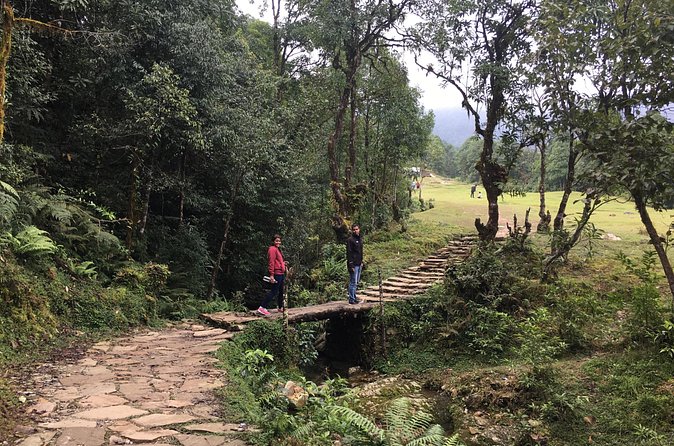 Australian Camp and Dhampus easy hiking - Weather reality check: why Annapurna views can vary