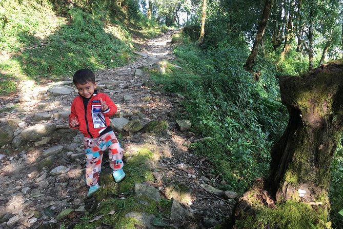 Australian Camp and Dhampus easy hiking - Who this hike suits best around Pokhara