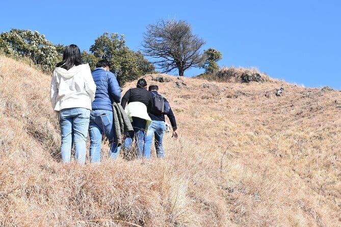 Benog Trek into the Wild - Key Things to Know Before You Go