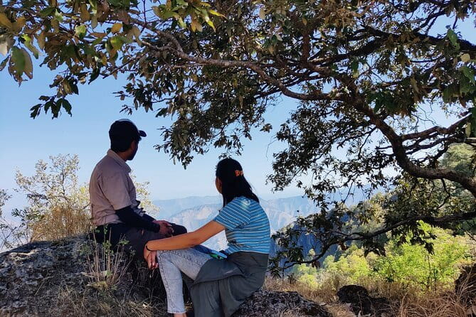 Benog Trek into the Wild - Stop 1: Benog Wildlife Sanctuary Walk—What the Guide Helps You See