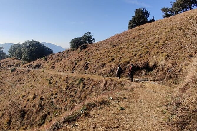 Benog Trek into the Wild - Where You Start: Cloud End Forest Resort and the Easy Morning Flow