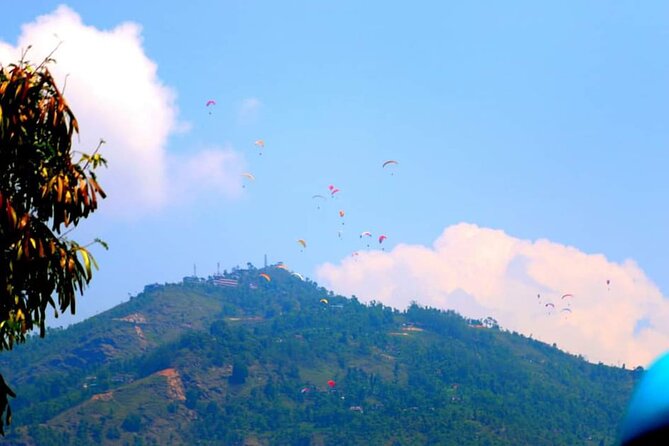Best Nepal Tour: Kathmandu Pokhara Chitwan Tour - Chitwan National Park Day: Jeep Safari Plus Canoe and Jungle Walk