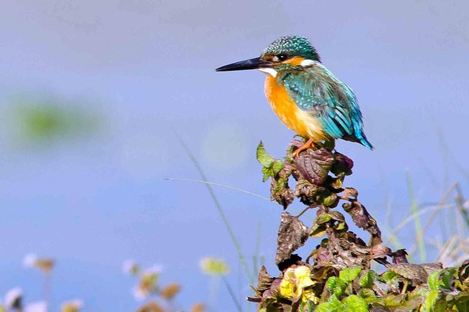 Best of Nepal Luxury Adventure Tour Package - 9 Days - Key things I’d pin on your shortlist