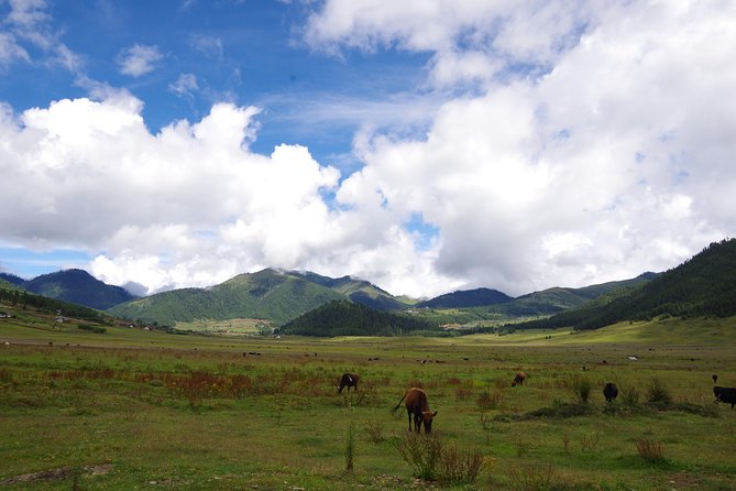 Bhutan Vacation (5 Nights-6 Days) - Day 6: Airport Transfer From Paro