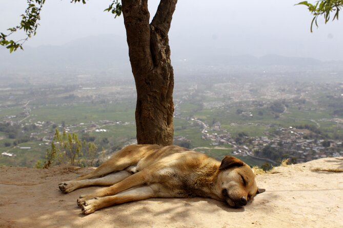 Changunarayan Hill to Telkot Hike Near Kathmandu Day Tour - Changu Narayan Temple: the calm, cultural warm-up