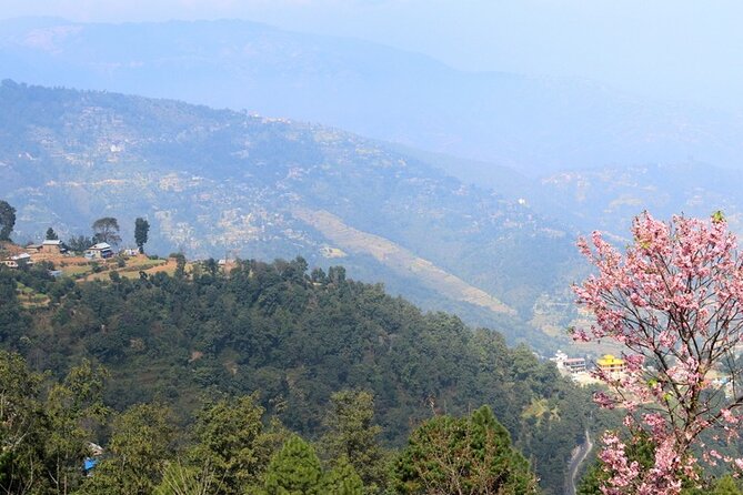 Changunarayan Hill to Telkot Hike Near Kathmandu Day Tour - Who should choose this hike (and who should skip it)