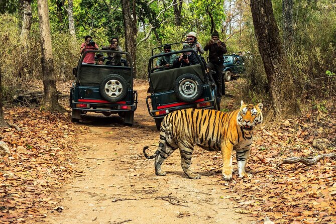 Chitwan Jungle Safari 3-Day Tour - Key highlights you’ll feel on the trip