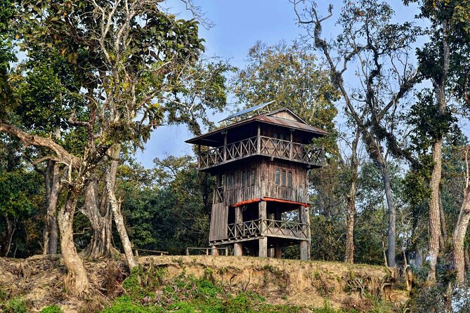 Chitwan Jungle Safari 3-Day Tour - Chitwan National Park: why this safari feels like real Nepal