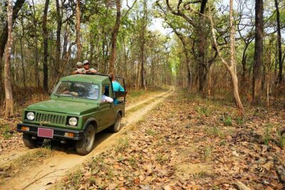 Chitwan Jungle Safari 3-Day Tour - Day 1: the Kathmandu-to-Chitwan transfer and Tharu village culture