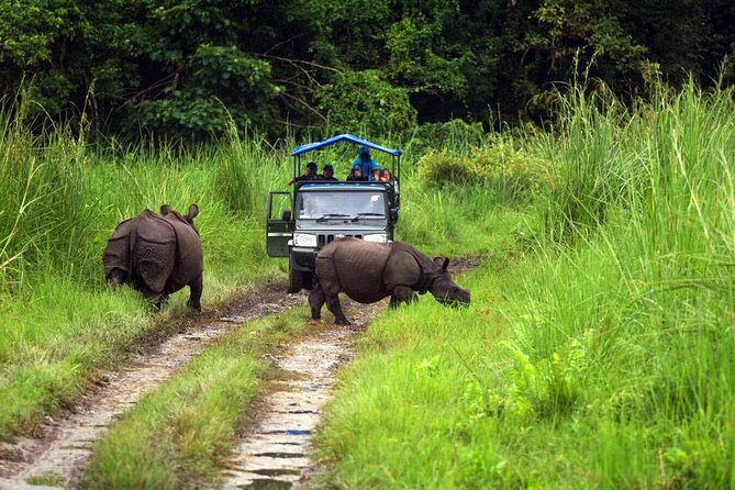 Chitwan Jungle Safari 3-Day Tour - Price and value: what $38 covers and what costs extra