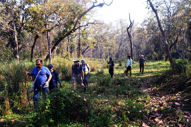 Chitwan Jungle Safari 3-Day Tour - Included details that make a difference (transport, tickets, group size)