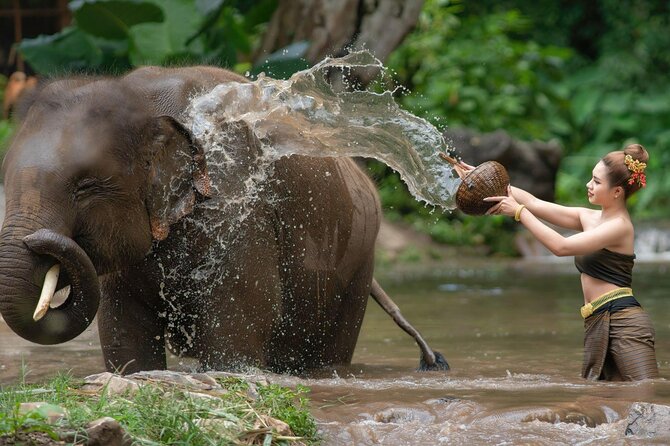 Chitwan National Park Tour - Day 1 in Chitwan District: lodge check-in, an evening walk, and Tharu culture