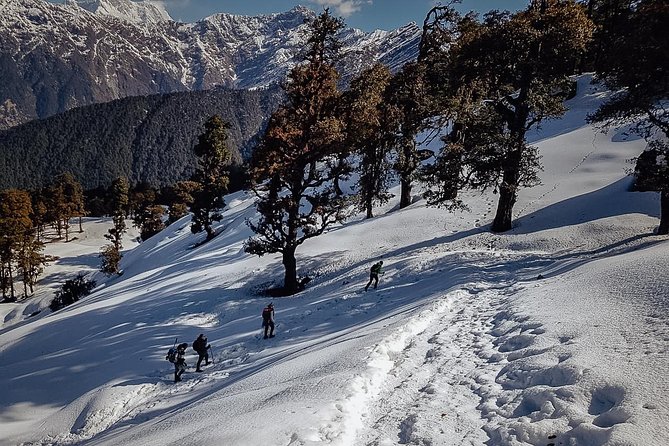 Chopta Trek - Day 2: Deoria Tal Lake, then Chopta Valley vibes through Rohini Bugyal
