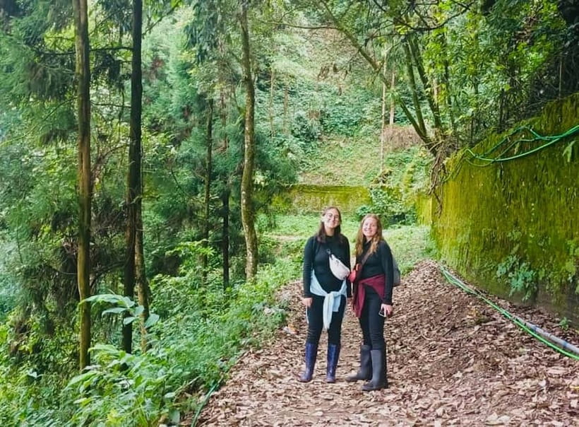 Darjeeling Cultural & Nature Walking Guided Tour - Starting from Mall Road: the smart way to do Darjeeling on a schedule