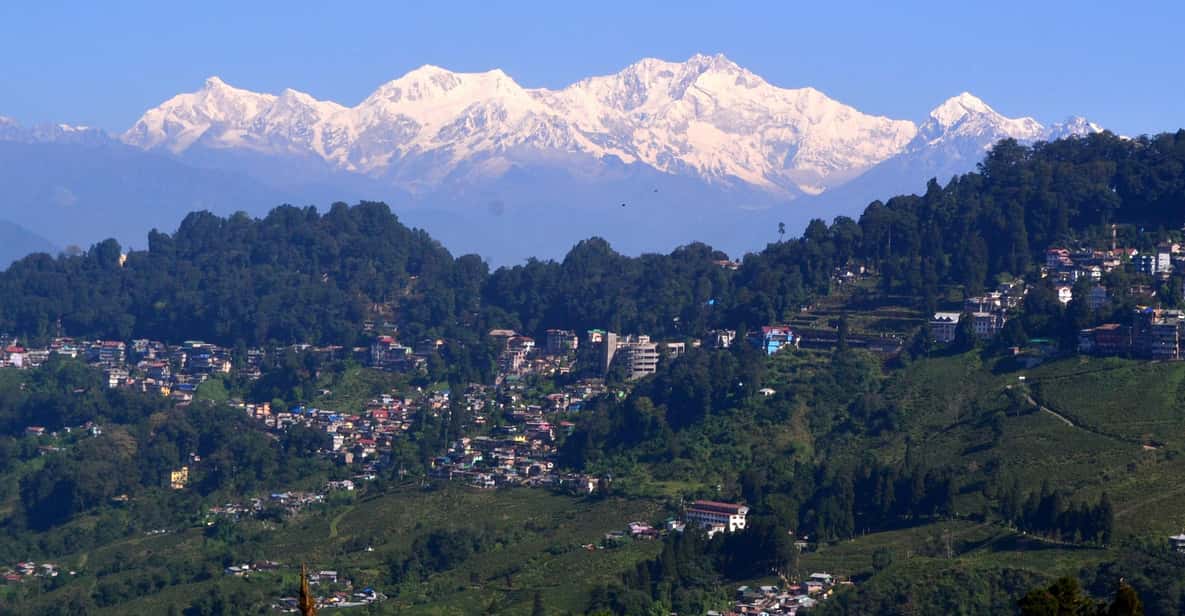 Darjeeling Cultural & Nature Walking Guided Tour - A nature walk plus local village views: scenic without the big trek