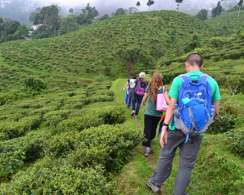 Darjeeling Cultural & Nature Walking Guided Tour - Bhutia Busty Monastery (Karma Dorjee Chyoling): Buddhist art you can actually see