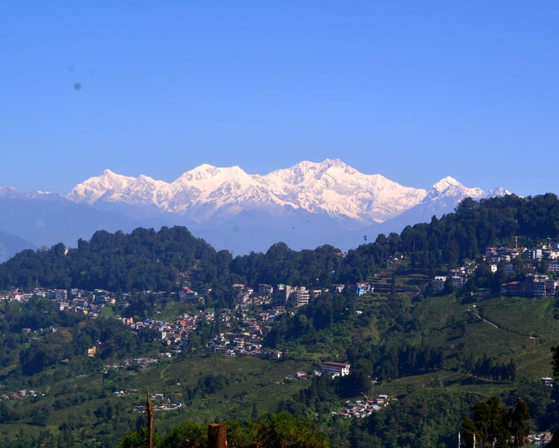 Darjeeling Cultural & Nature Walking Guided Tour - The Darjeeling Himalayan Mountaineering Institute and the Tenzing Norgay Museum