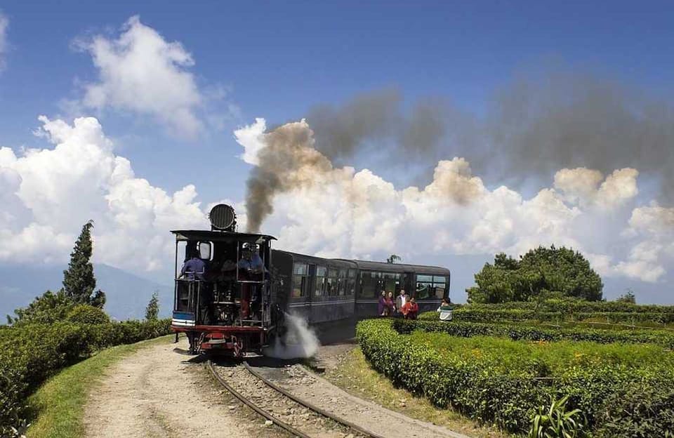 Darjeeling: Full-Day Guided Sightseeing Tour by Car - Tea slopes from the drive: the part most people underestimate