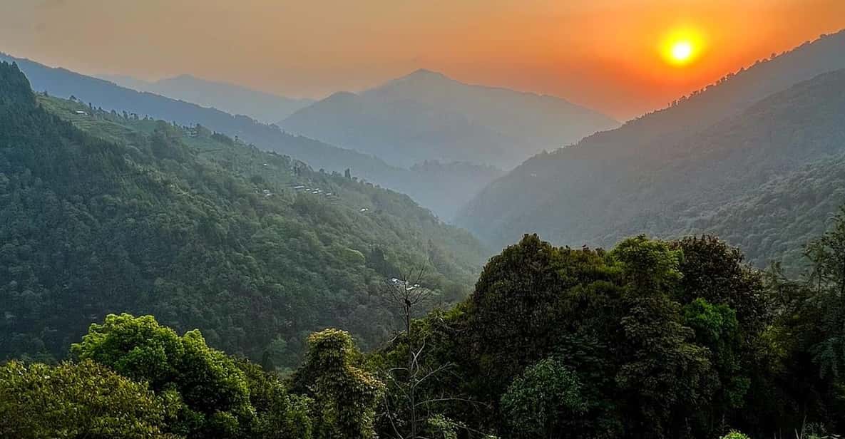 Darjeeling: Tiger Hill Sunrise Hike – Guided Day Trip - From Tiger Hill to Jorbanglow: Pine Forest Walking and a Real Breakfast