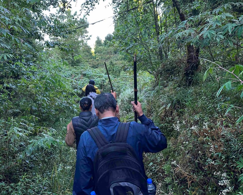 Darjeeling: Tiger Hill Sunrise Hike – Guided Day Trip - Finishing at Chowrasta Mall: What You Can Do After 11 a.m.