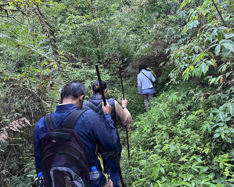 Darjeeling: Tiger Hill Sunrise Hike – Guided Day Trip - The Best Way to Get Value From Your Morning