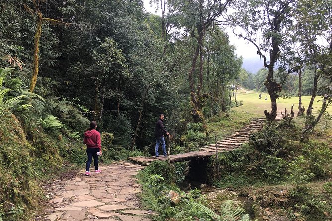Day hiking to Dhampus - Astam Village - Getting From Pokhara to Phedi: The Pickup That Keeps You Moving