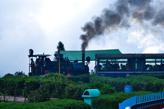 Day_Trippers (Darjeeling Full Day Tour). - Tiger Hill sunrise: the 3:00 a.m. payoff