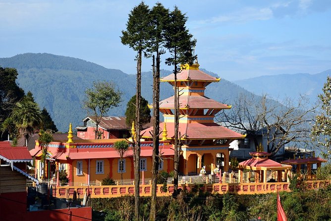 Day_Trippers (Darjeeling Full Day Tour). - Rangeet Valley Passenger Ropeway: tea-estate views from above