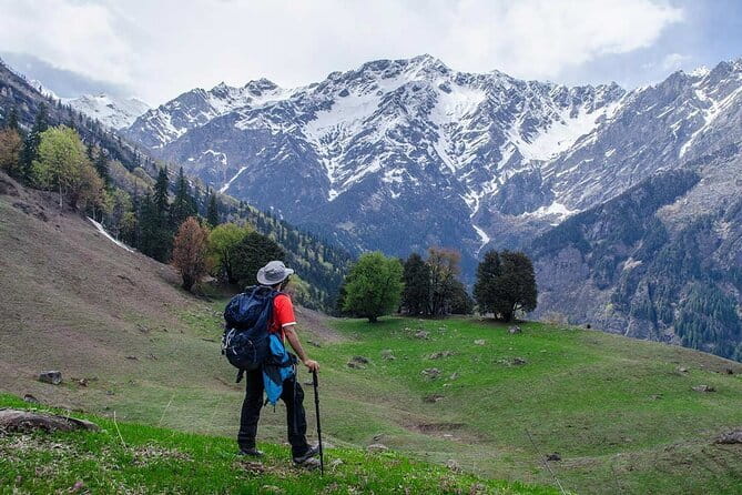 Dayara Bugyal and Surya Top Trek - Day 3 to Dayara Top: the 12 km round trip and the view that justifies it