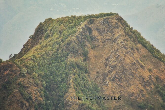 Discover Dehradun: Private City Tour - Price and value for a private Dehradun afternoon