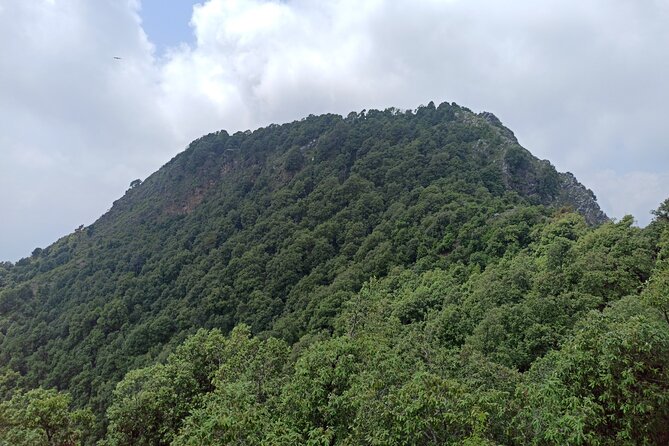 Discover Dehradun: Private City Tour - Mindrolling Monastery and the Great Stupa: Tibetan Buddhism in a fixed hour