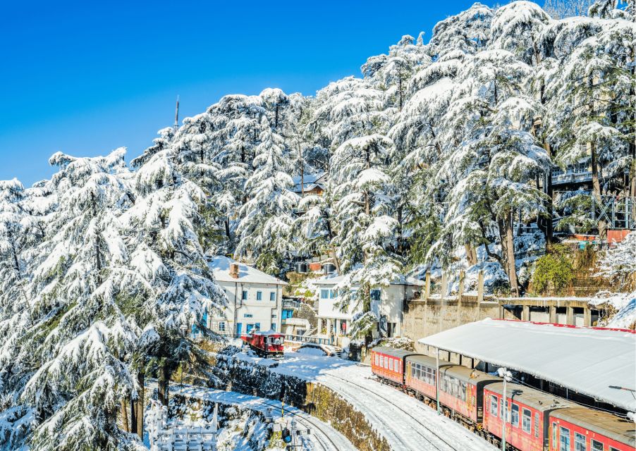 Discover the Colonial Trails of Shimla- Guided Walking Tour - Gorton Castle: neo-Gothic charm you can see from your feet